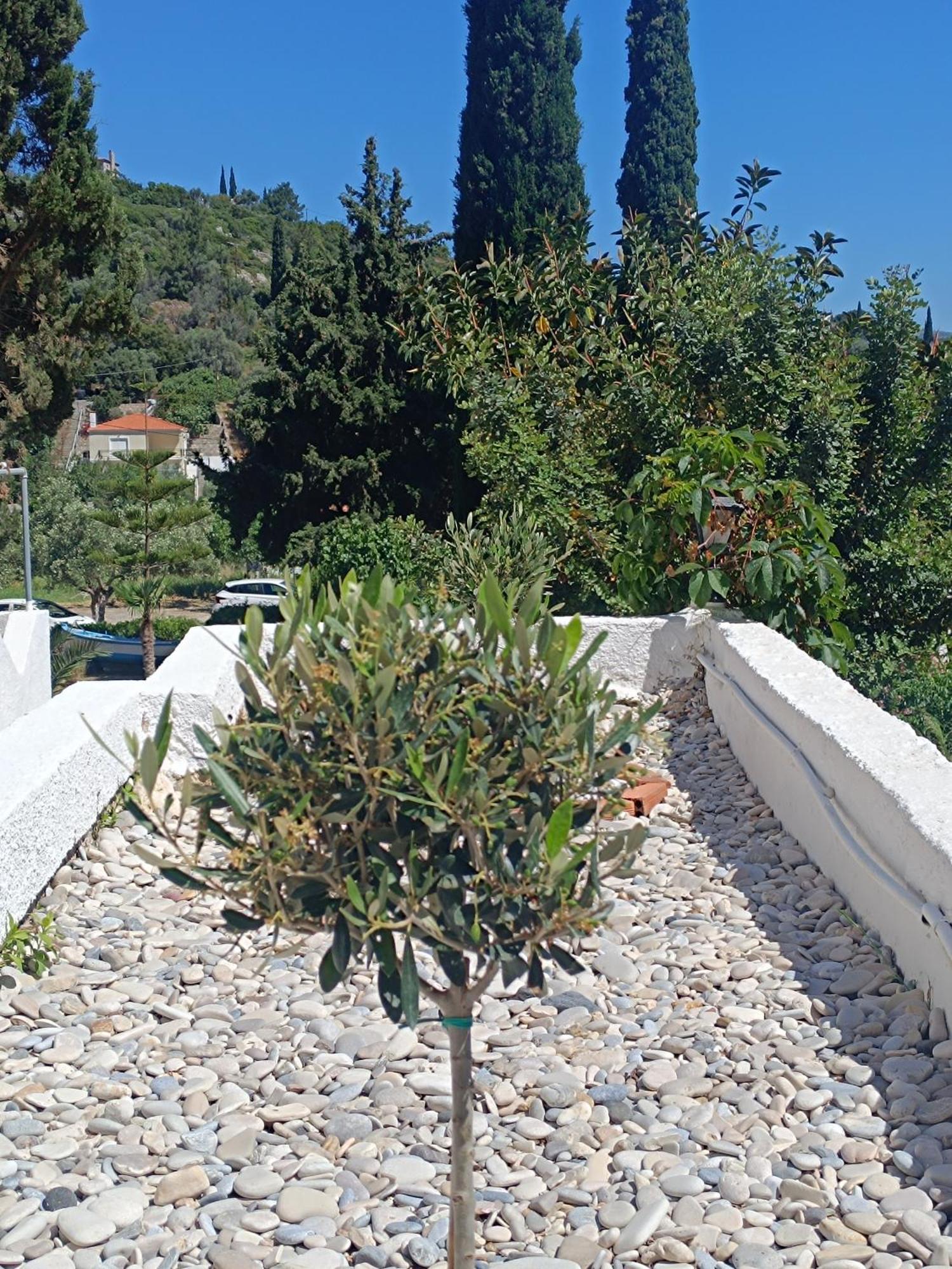Athina Studio Apartments Kerveli Exterior foto